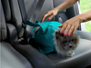 Cat Carrier Pouch: Buy 1 Get 1 FREE!