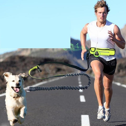 Hands-free Bungee Dog Harness Leash