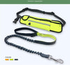 Hands-free Bungee Dog Harness Leash