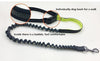 Hands-free Bungee Dog Harness Leash