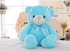 LED Teddy Bear - Led Light Teddy Bear