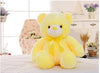 LED Teddy Bear - Led Light Teddy Bear