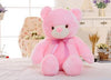 LED Teddy Bear - Led Light Teddy Bear