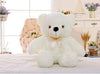 LED Teddy Bear - Led Light Teddy Bear