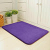 Magic Non Slip Door Mat