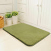 Magic Non Slip Door Mat