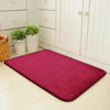 Magic Non Slip Door Mat