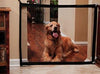 Magic Pet Mesh Gate