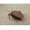 Remote Control Cockroach for Pranks!